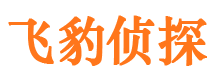 江宁市侦探公司